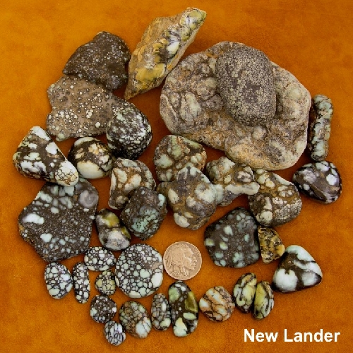 sampler new lander 5x5_0.jpg